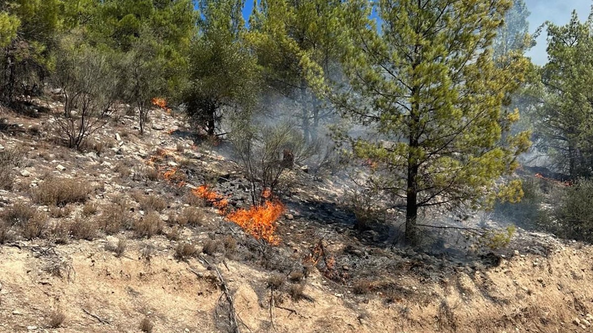 Mersin'de orman yangını: Karadan ve havadan müdahale