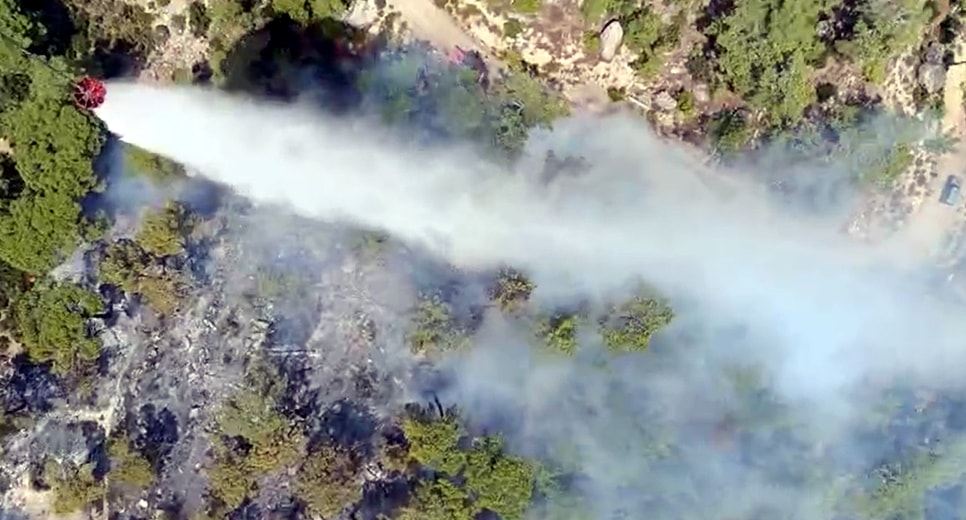 Muğla'da orman yangını: Kuvvetli rüzgarla yayılıyor...
