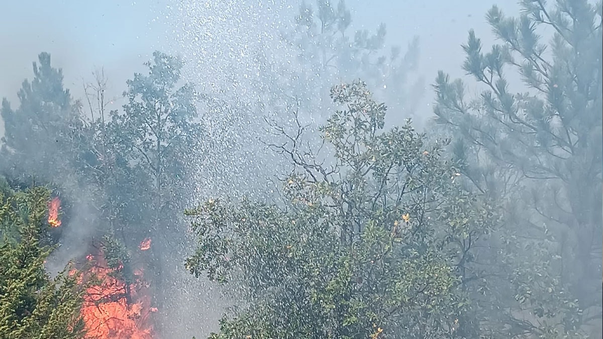 Yozgat'taki orman yangını sonrası 2 çoban gözaltında