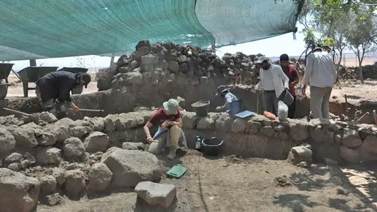 Zincirli Höyük'te kazı çalışmaları yeniden başladı