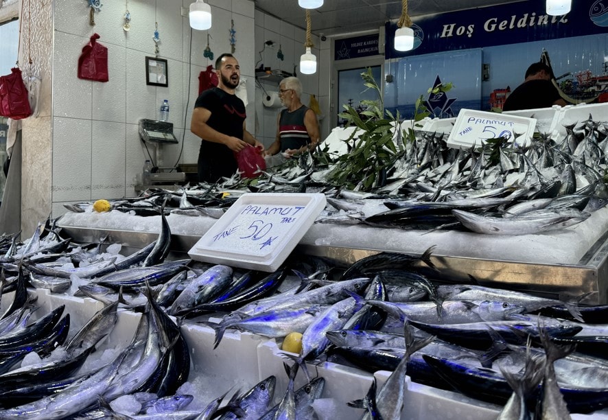 Balıkçı tezgahlarını dolduran palamut Rusya'ya kaçıyor