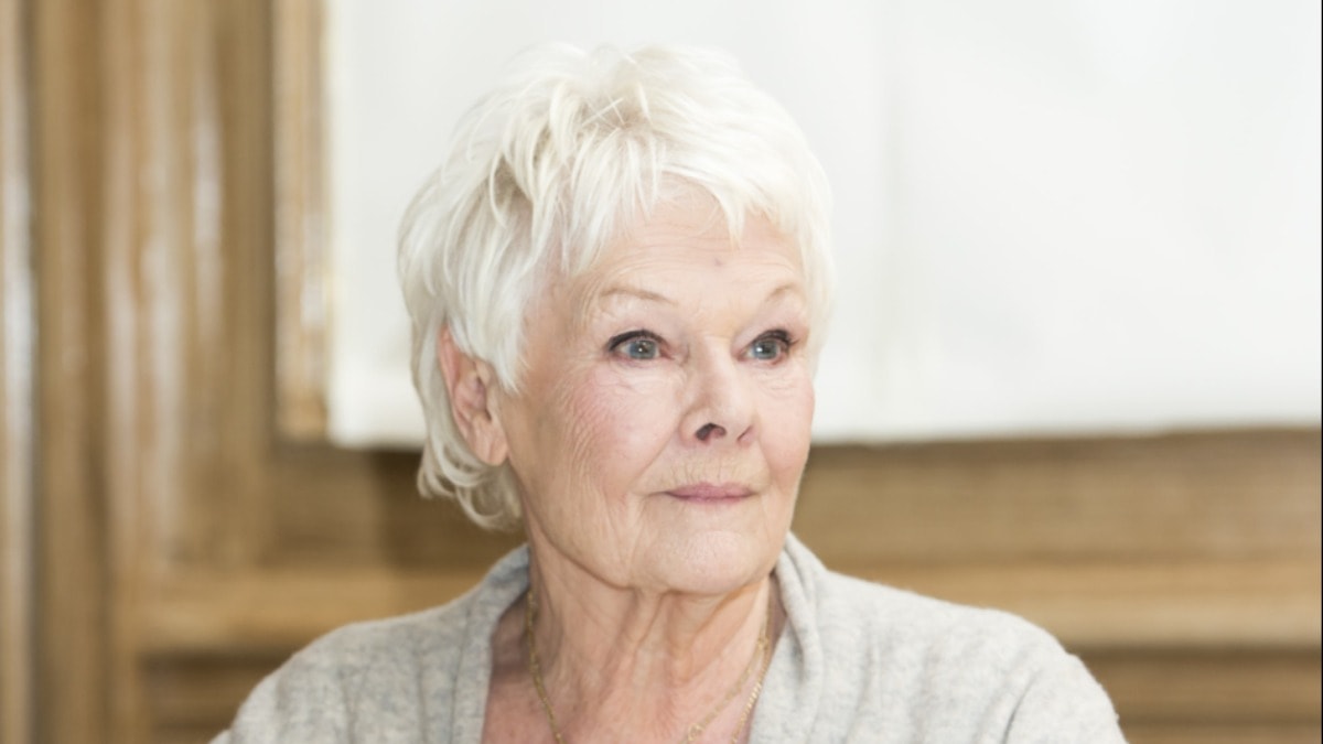 Judi Dench yapay zeka botuna ses Verecek
