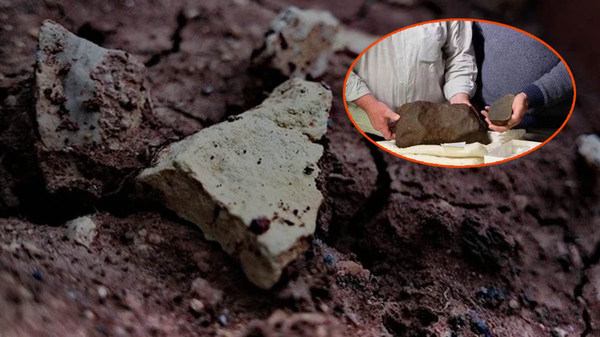 Altın sandı, taş çıktı ama çok daha değerli olduğu keşfedildi: 17 kiloluk taşın sırrı şaşırttı!