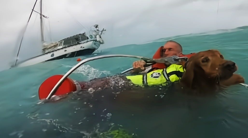 Talihsiz denizci, Helene Kasırgası'na açık denizde yakalandı: Köpeğini kurtardı