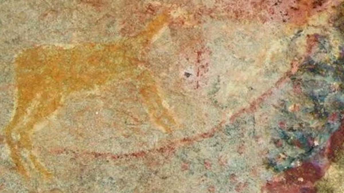 Dinozorlardan önce yaşamış bir canlı! Esrarengiz hayvan bilim insanlarını şaşırttı - Sözcü