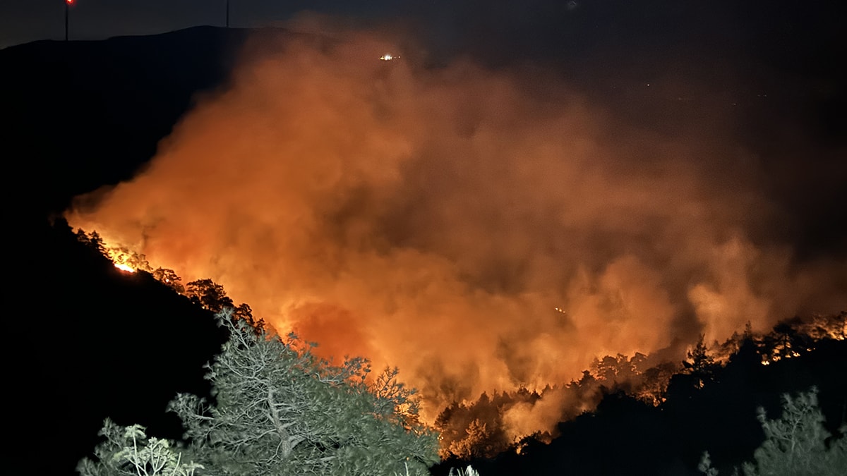 Hatay'da orman yangını: 7 arazözle müdahale ediliyor