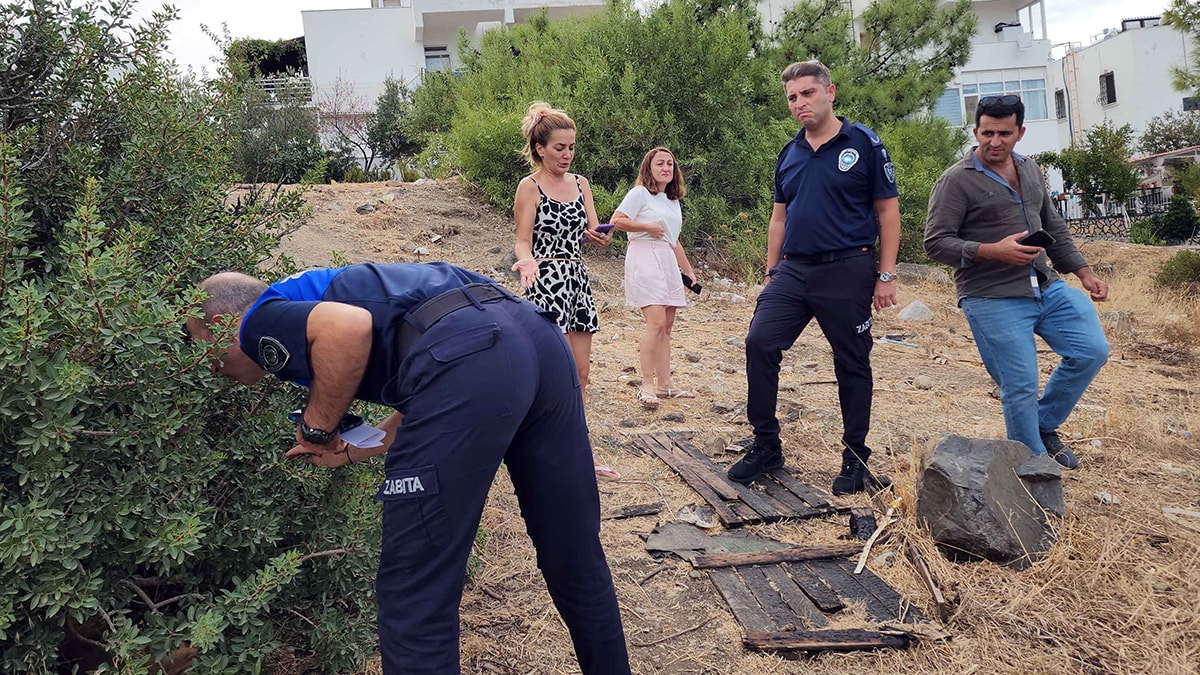 Muğla'da köpekleri zehirli gıda ile öldürdüler