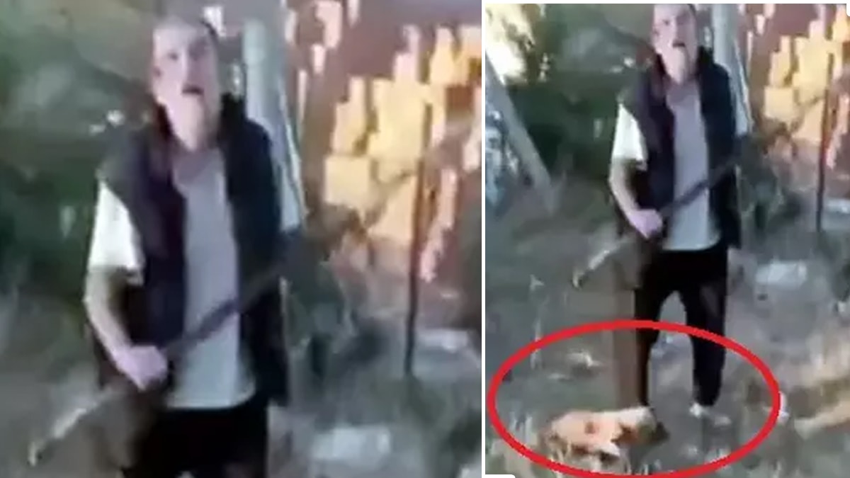 İki köpeği daha öldürdüğü ortaya çıktı: 4 yıla kadar hapsi isteniyor