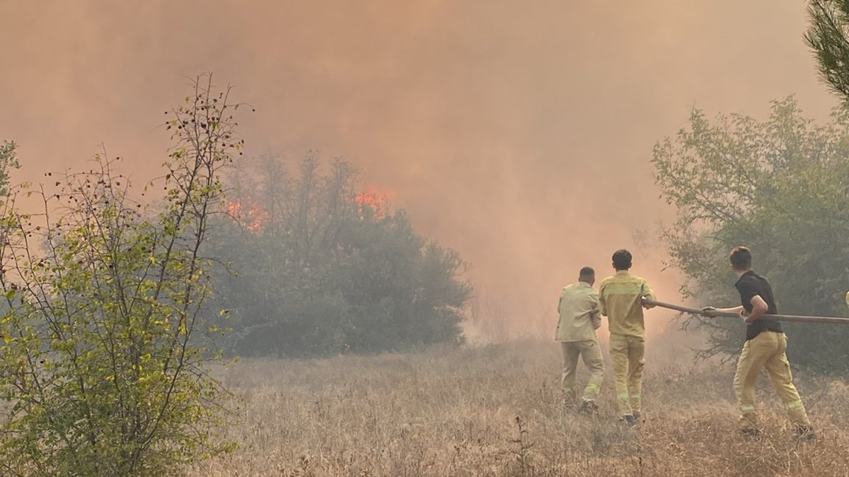 Kütahya’da korkutan orman yangını