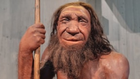 İspanya'da bulunan gizemli fosiller: Neandertallerin zekası...