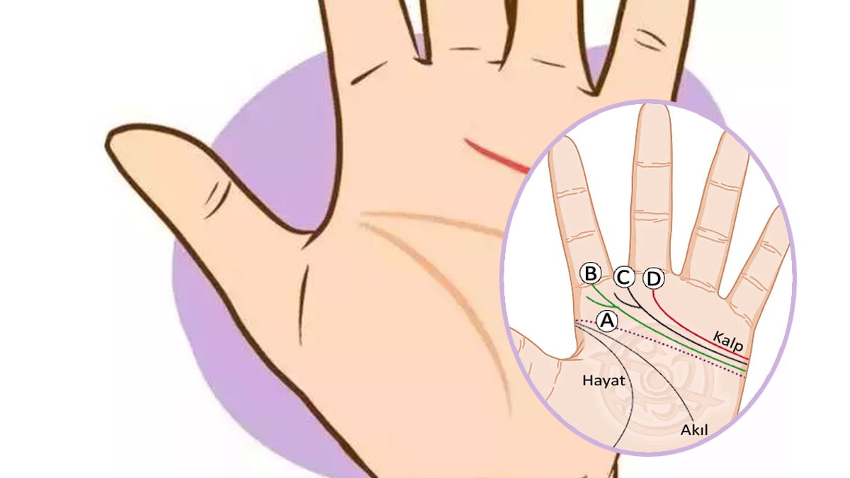 Avucunuzdaki kalp çizgisi kişiliğinizi ele veriyor! Sakin mi, otoriter mi yoksa sinirli misiniz?