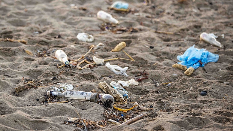 Haftada 1 kredi kartı büyüklüğünde plastik yiyoruz