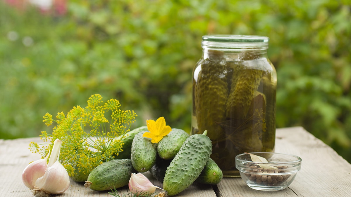 Püf noktaları ile çıtır çıtır salatalık turşusu tarifi: Kornişon turşu nasıl yapılır?