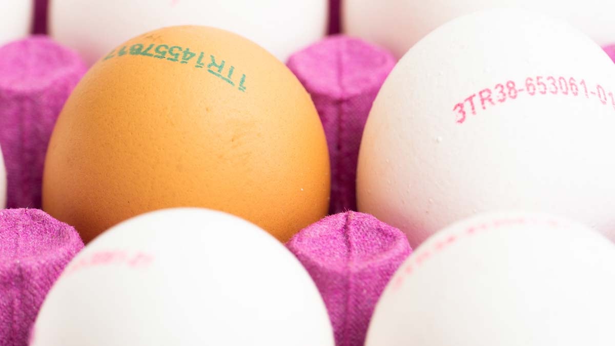 Yumurta üzerindeki rakamlar ne anlama geliyor?