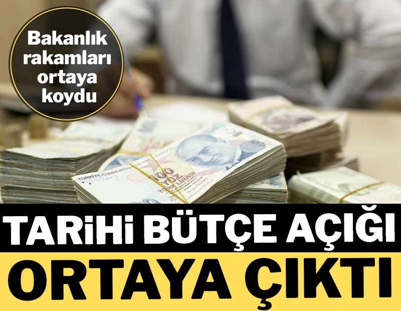 2024 bütçesinden her 100 lira vergimizin 17,4 lirası faize gitti