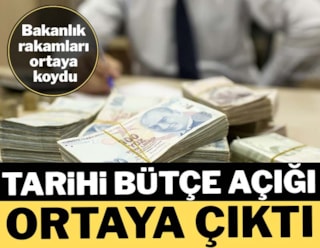 2024 bütçesinden her 100 lira vergimizin 17,4 lirası faize gitti