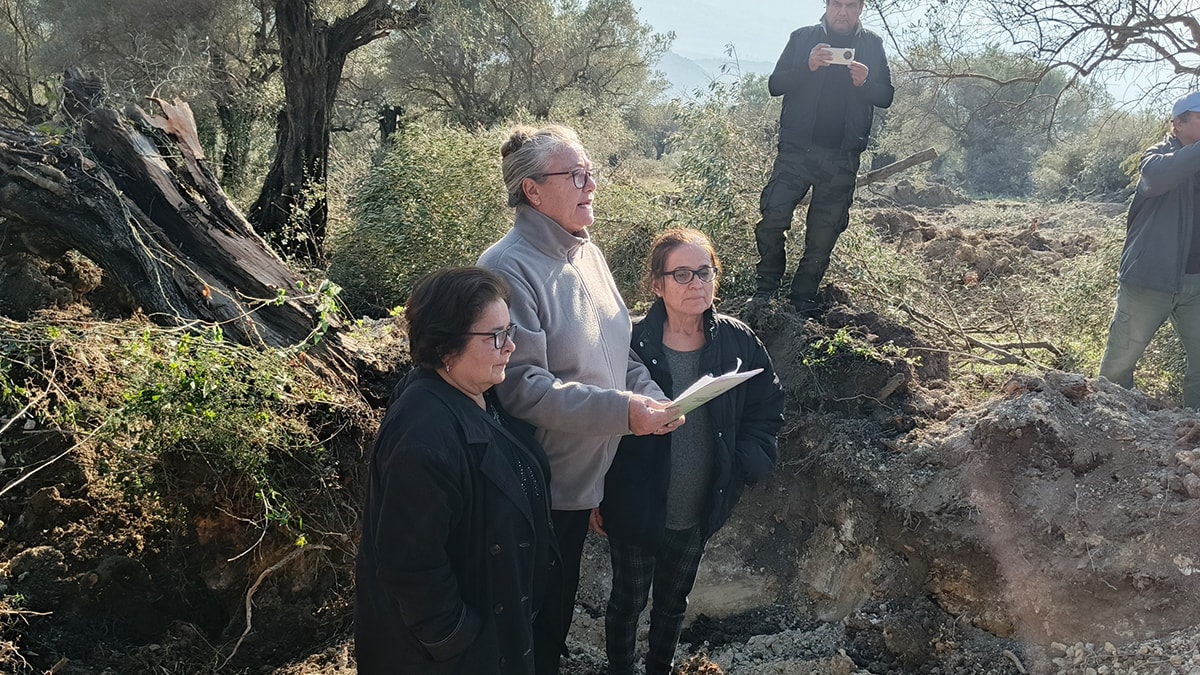 Kuşadası’nda zeytin katliamına sert tepki