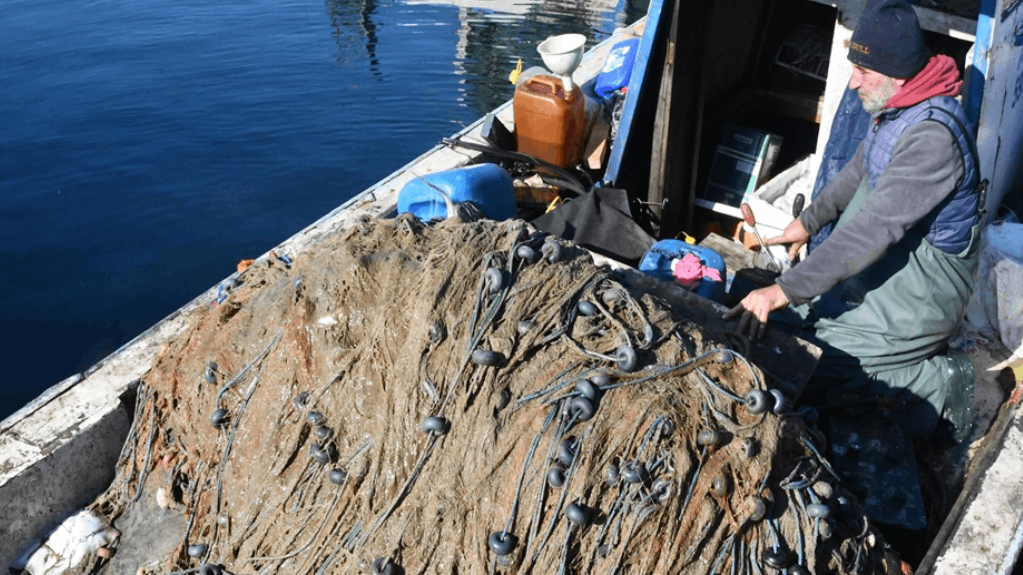 Müsilaj balıkçıların kabusu oldu: Avlanamıyorlar