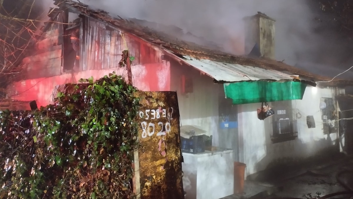 Bolu'da yangın: 4 büyükbaş telef oldu