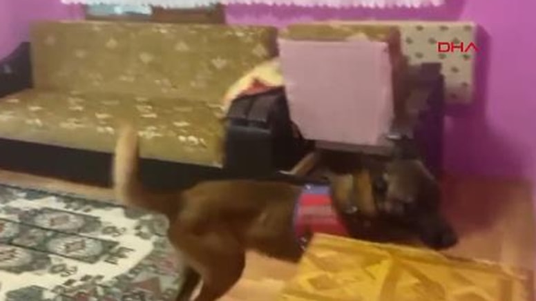 Yalova'da uyuşturucu operasyonu