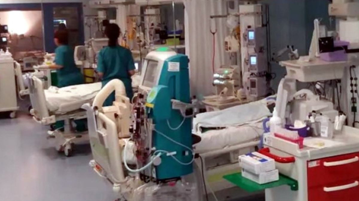 Yunanistan'da mide bulandıran olay