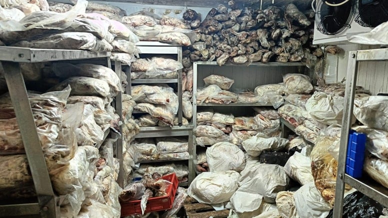 Vatandaşa yedirilmek istenen 4 ton bozuk et ve balığa el konuldu