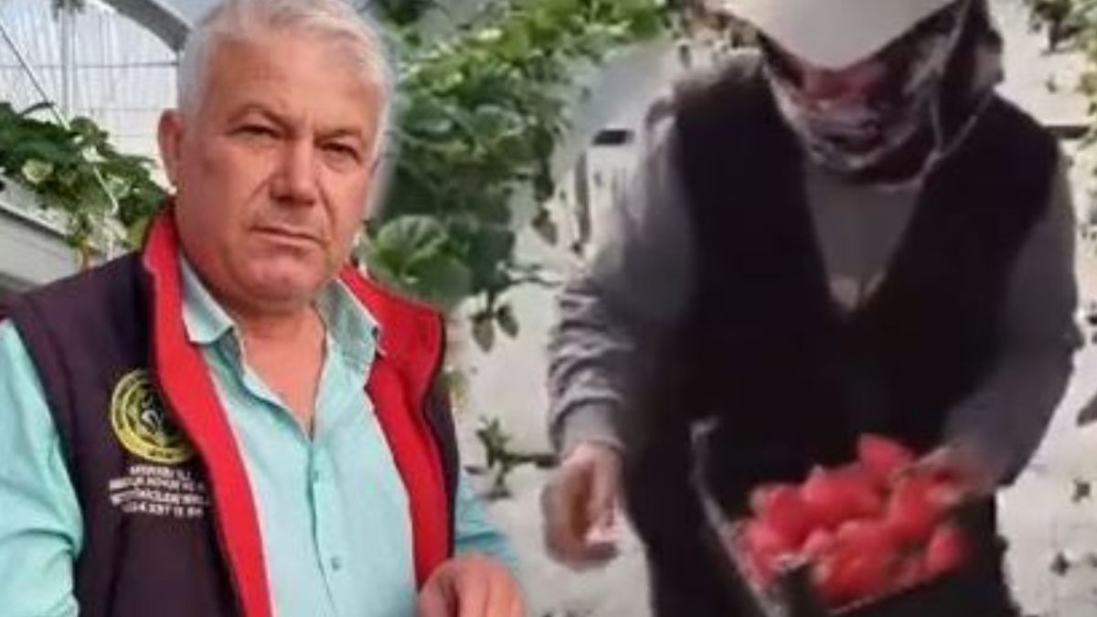 Emekli oldu kırmızı elmas işine girdi: Topraksız ekip yurt dışına satıyor