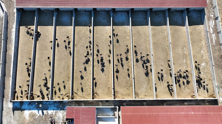 Kimseyi dinlemeyip kurduğu yeni işinde paraya para demiyor