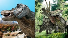Dinozorlar böyle çiftleşiyormuş! Bilim insanları fotoğraflara döktü
