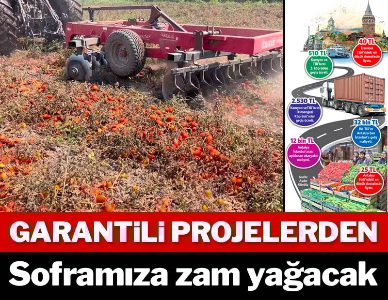 Domates yolda yüzde 60 zamlanıyor