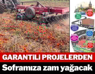 Domates yolda yüzde 60 zamlanıyor