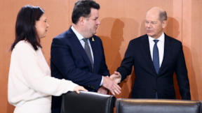 Ukrayna'daki savaş, Alman hükümetini ikiye böldü