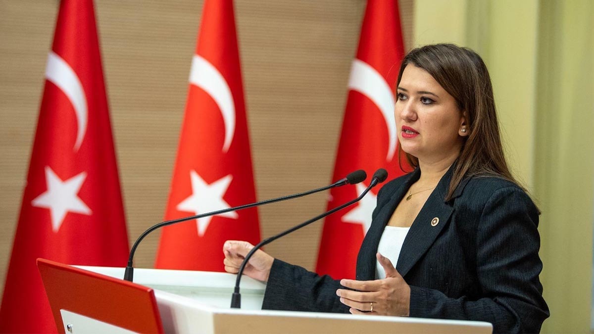 CHP'li Gökçe Gökçen'den Ayşe Barım'a Gezi eylemlerinde gözaltına alınmasına tepki: "Hepimiz Gezi’deydik"