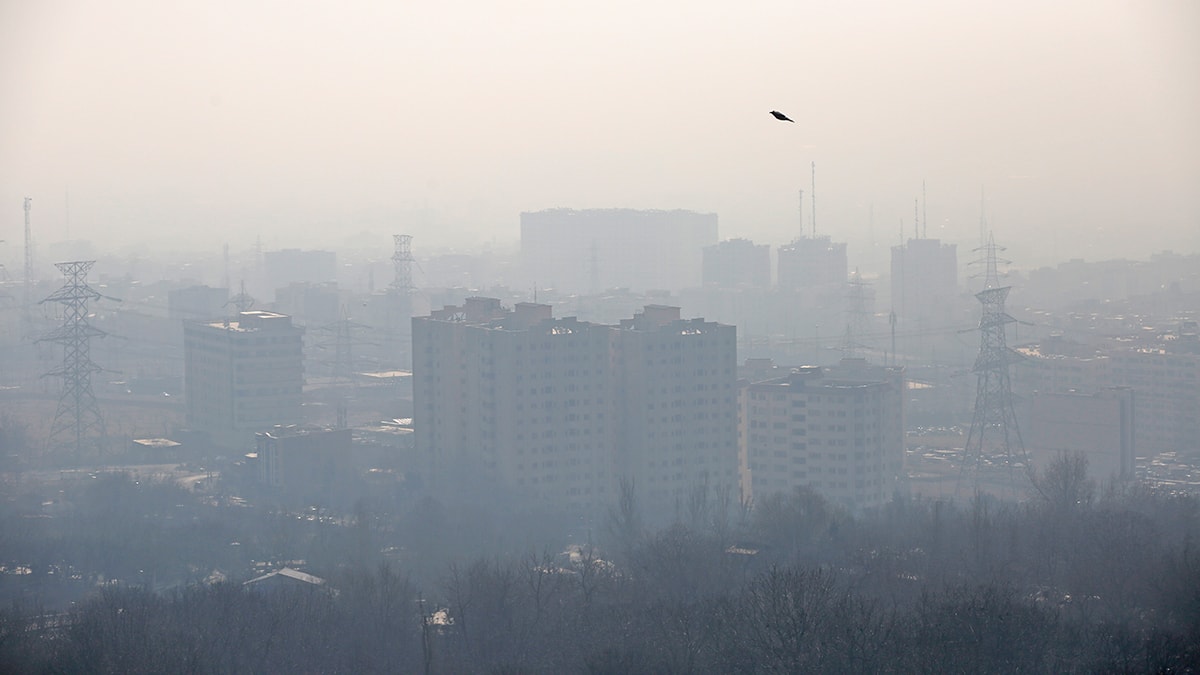 Hava kirliliği nedeniyle okullar tatil edildi