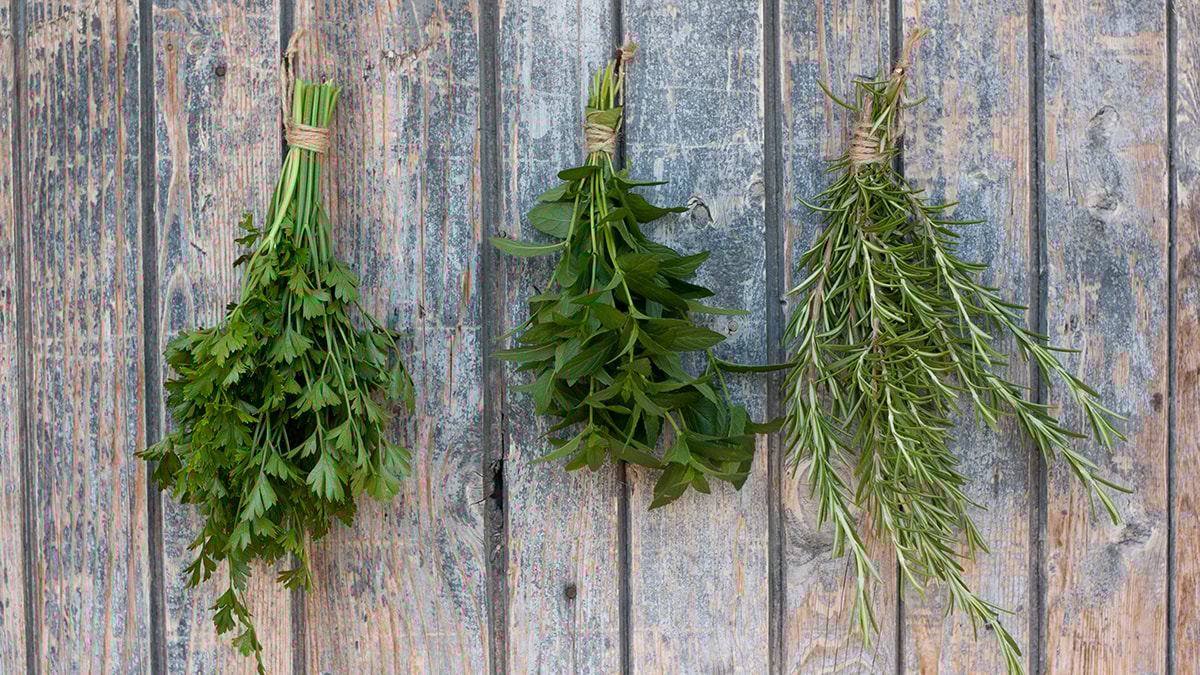 Kapıya neden biberiye asmalıyız? Duyunca tomar tomar asacaksınız