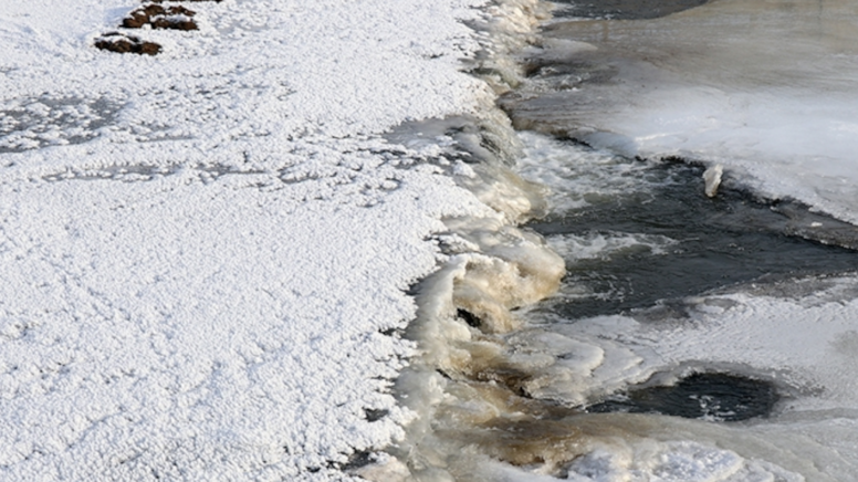 Donmuş suyun altından patır patır çıkıyorlar: Balık değil
