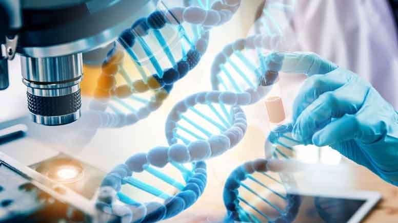 Yapay zeka doğada gerçekleşmesi 500 milyon yıl sürecek bir şeyi yaptı!