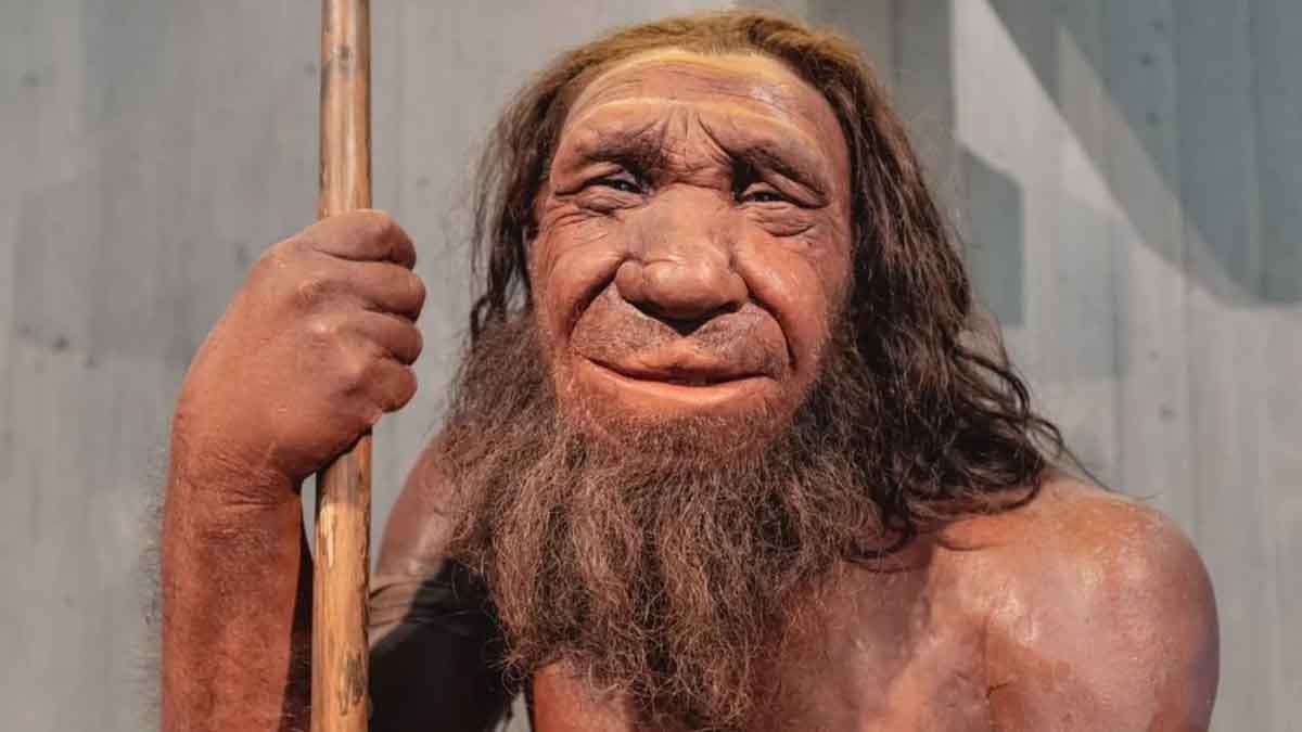 Neandertallerin kanı onların neslinin tükenmesine yol açmış olabilir: İşte o kan grubu