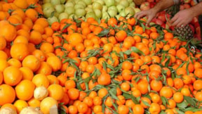 Mandalina mı portakal mı, sağlığınız için hangisi daha faydalı?