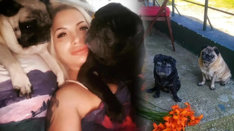 Aç kalan köpekler, sahiplerini yedi