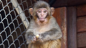 Terminalde kolide bulunmuştu: Antalya havası iyi geldi