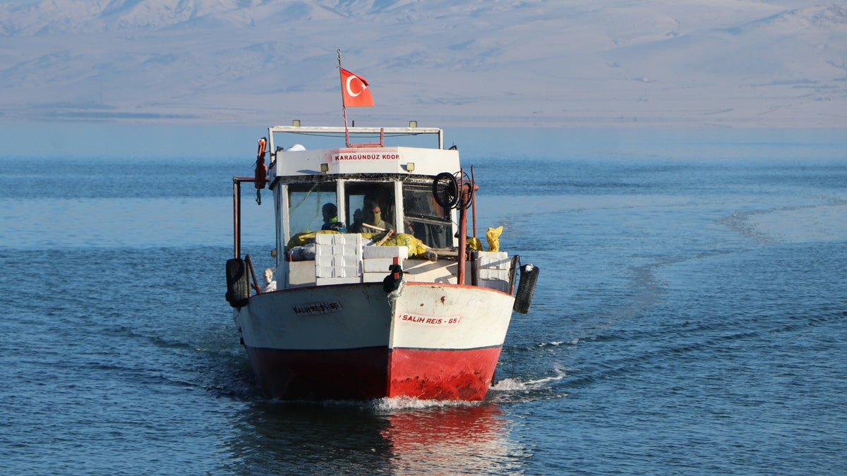 Bir zamanlar balıksızdı: Şimdi balıkçıların göz bebeği oldu!