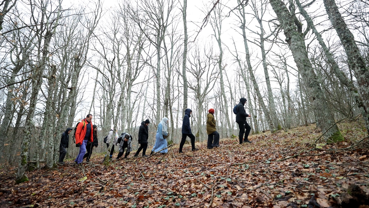 Sağlıklı yaşamak isteyenlerin yeni rotası: Orman banyosu