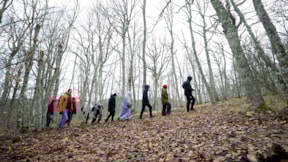 Sağlıklı yaşamak isteyenlerin yeni rotası: Orman banyosu