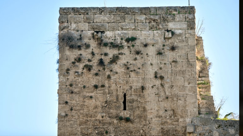 Binlerce yıllık sur ve burçlar 'yeşerdi'