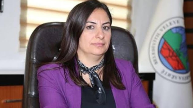 Yerine kayyum atanan Eşbaşkan Alağaş: Kayyumlar kentlerde travmalar yarattı