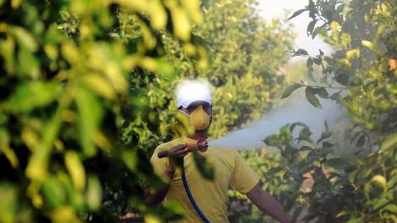 Peş peşe iade ediliyorlardı! Tarım Bakanlığı'ndan 'pestisit' güncellemesi