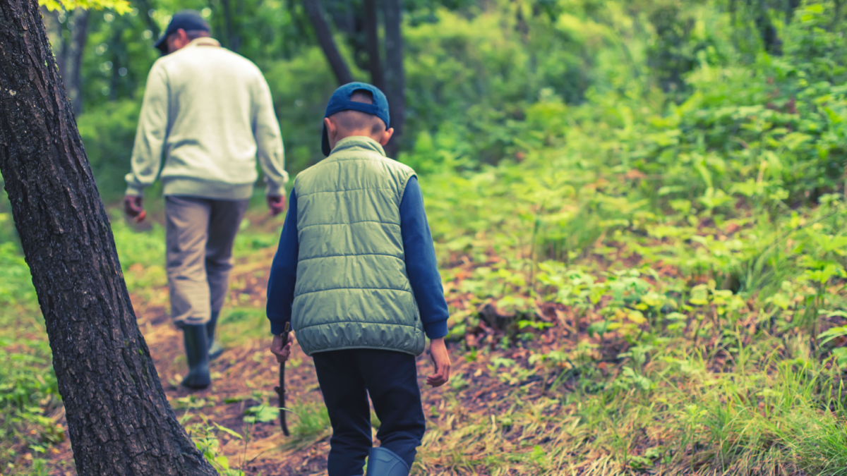 Bu mantarı bulan köşeyi dönüyor: Sadece 2 ilimizde yetişiyor