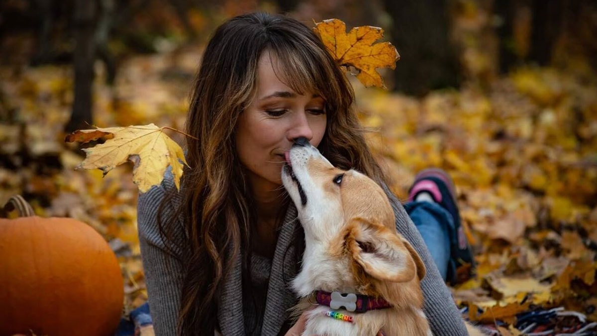 Köpeğini öpenler dikkat! Bu sinsi virüs ailenizi üzebilir