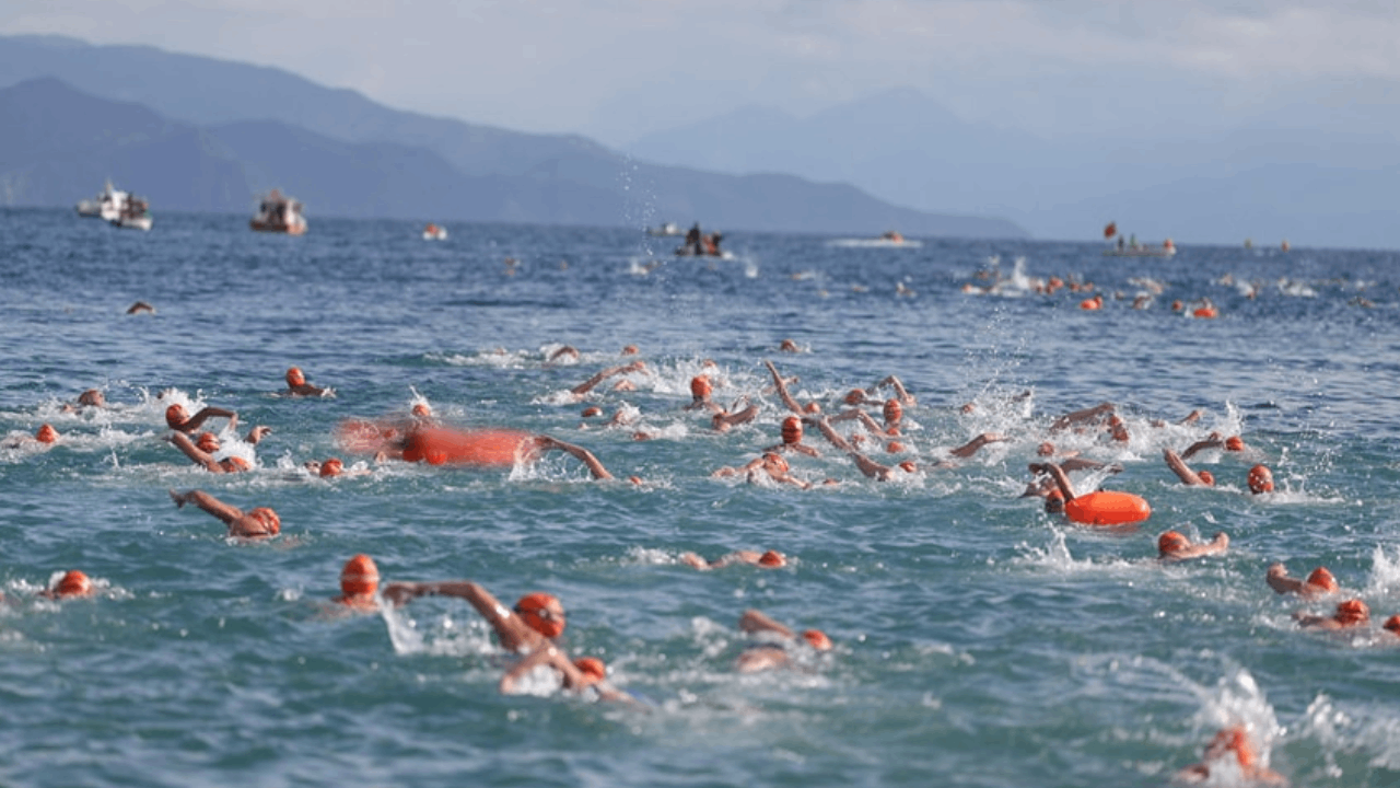 Kış ortasında yüzme maratonu: Yüzlerce kişi katıldı
